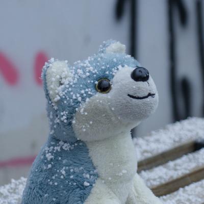 ptrc@treehouse.systems