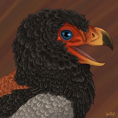 hexaitos@squawk.social