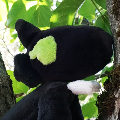 swiftyshq@critter.cafe