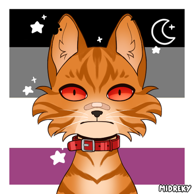 Diamond@floofy.tech