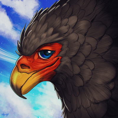 hexaitos@squawk.social