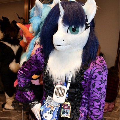 LightTheUnicorn@lighttheunicorn.horse