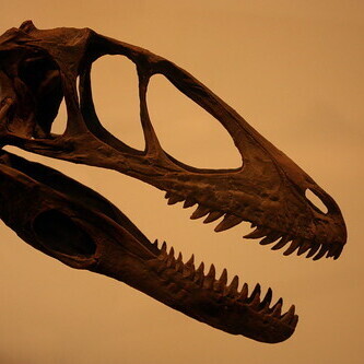 deinonychusraptor@sauropods.win