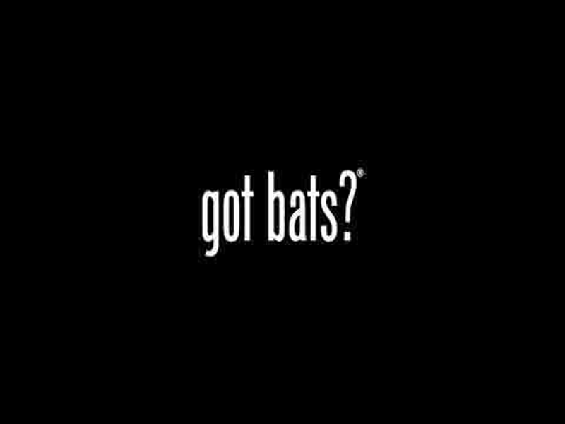 Black screen with thin white text on it asking 'got bats?' in the style of the 'got milk?' advertisements.