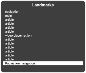 Screenshot of VoiceOver's rotor, showing a list of landmarks, with the last one specifically named as 'Pagination navigation'.