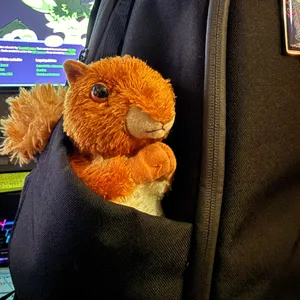 Photograph of the side of a black backpack, in the pocket of which is a reddish-brown plushie squirrel, positioned with its forepaws touching and tail sticking out of a hole in the back.
