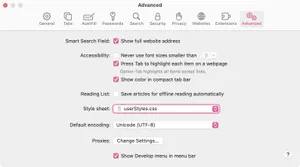A screenshot of Safari's advanced preferences interface, with the 'Style sheet' option highlighted.