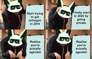 Gru from the Despicable Me series (with a robot bat photoshopped over his head) presents a series of slides. Panel 1: Confidently motions to 'Start trying to get estrogen in 2014' slide. Panel 2: Taps head at 'Finally starts in 2022 by going private' slide. Panel 3: Looks away as the slide changes to 'Realise you're actually agender'. Panel 4: Looks in confusion at the new slide.