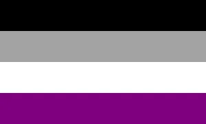 The asexual pride flag. A field of four horizontal, coloured stripes (from top to bottom: black, grey, white, and purple).