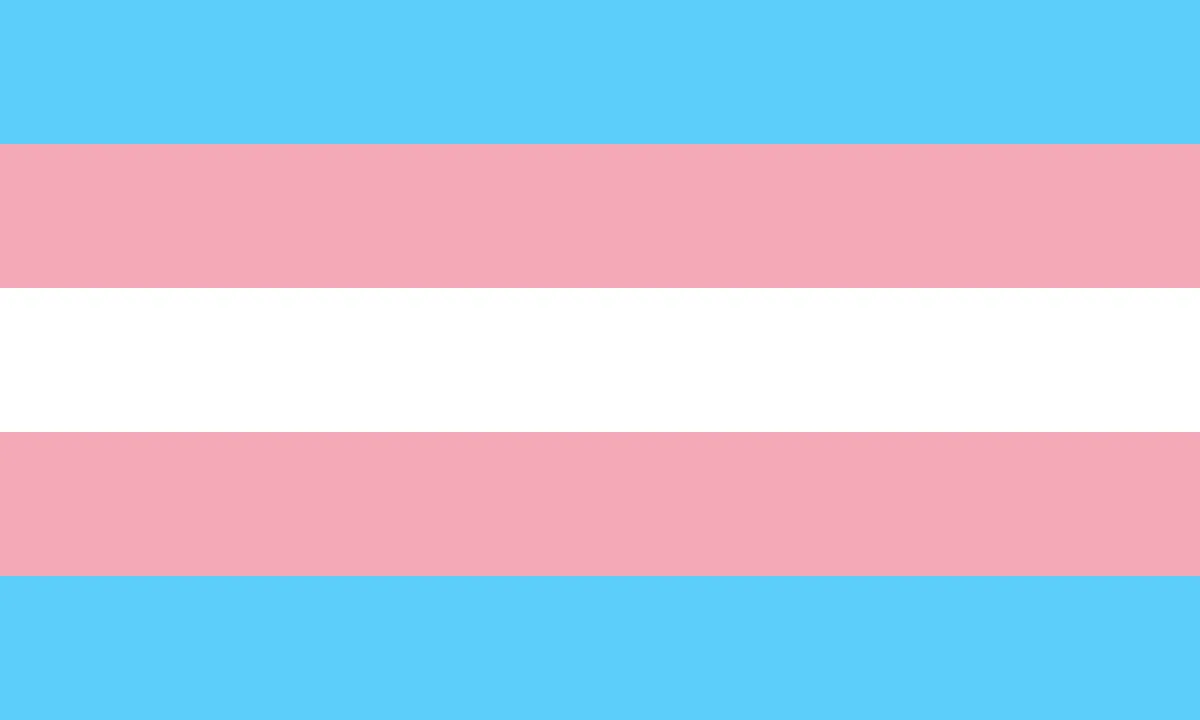 The transgender pride flag. A field of five horizontal, coloured stripes (from top to bottom: pastel blue, pastel pink, white, pastel pink, and pastel blue).