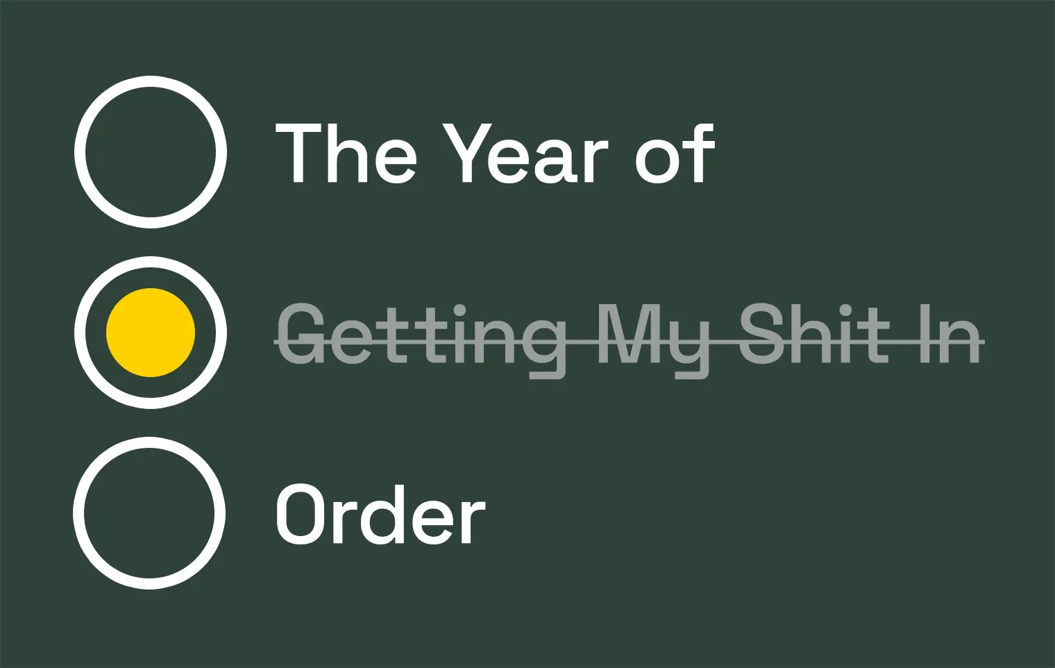 A faux todo list with three items. Collectively they read 'The Year of Getting My Shit in Order'. The middle one is checked off and faded out, making it also read 'The Year of Order'.