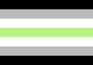 The agender pride flag. A field of seven horizontal, coloured stripes (from top to bottom: black, grey, white, light green, white, grey, and black).